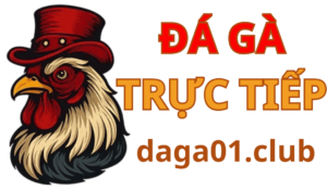 Đá gà trực tiếp Thomo hấp dẫn