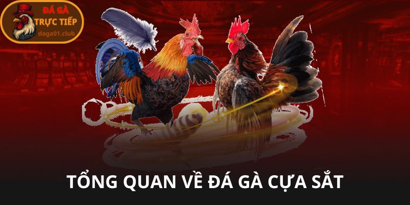Tổng quan về đá gà cực sắt