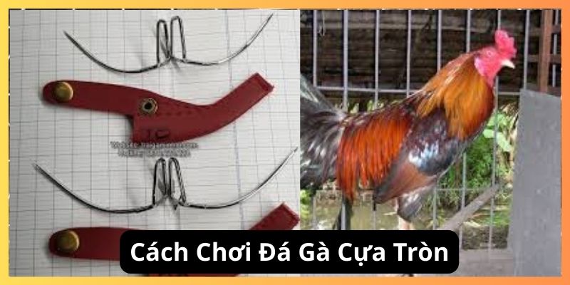 Cách chơi đá gà cựa tròn tại đá gà 01